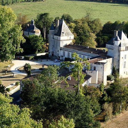 Chateau De Mornay Saint-Pierre-de-l'Isle Eksteriør billede