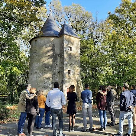 Chateau De Mornay Saint-Pierre-de-l'Isle Eksteriør billede