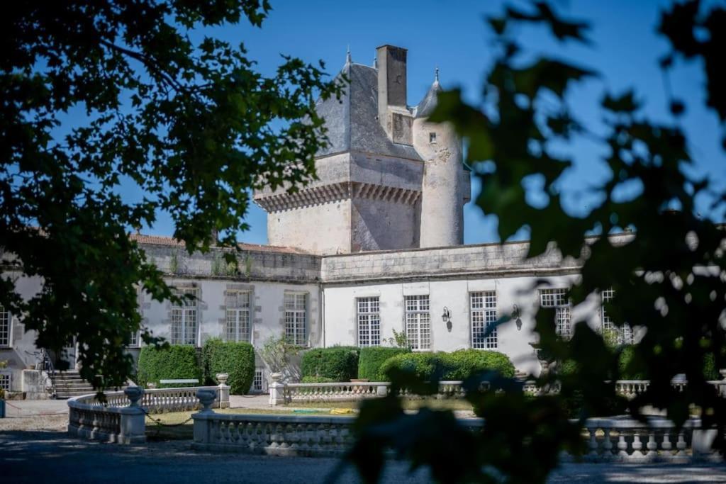 Chateau De Mornay Saint-Pierre-de-l'Isle Eksteriør billede