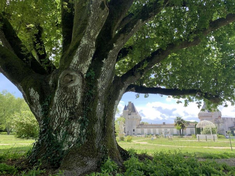 Chateau De Mornay Saint-Pierre-de-l'Isle Eksteriør billede