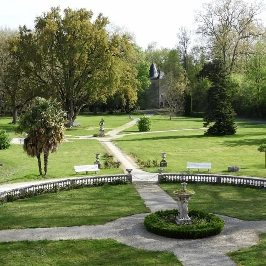 Chateau De Mornay Saint-Pierre-de-l'Isle Eksteriør billede