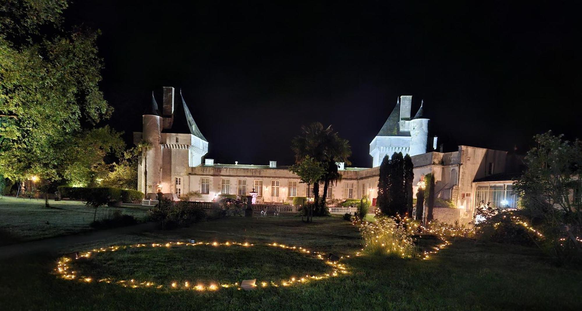 Chateau De Mornay Saint-Pierre-de-l'Isle Eksteriør billede